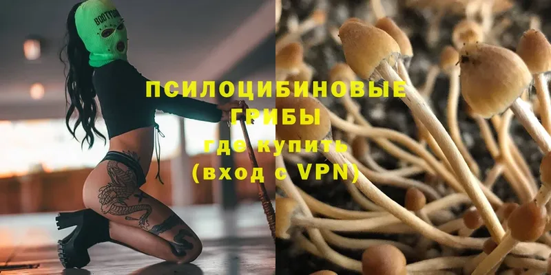 Галлюциногенные грибы Magic Shrooms  дарк нет клад  Железногорск 